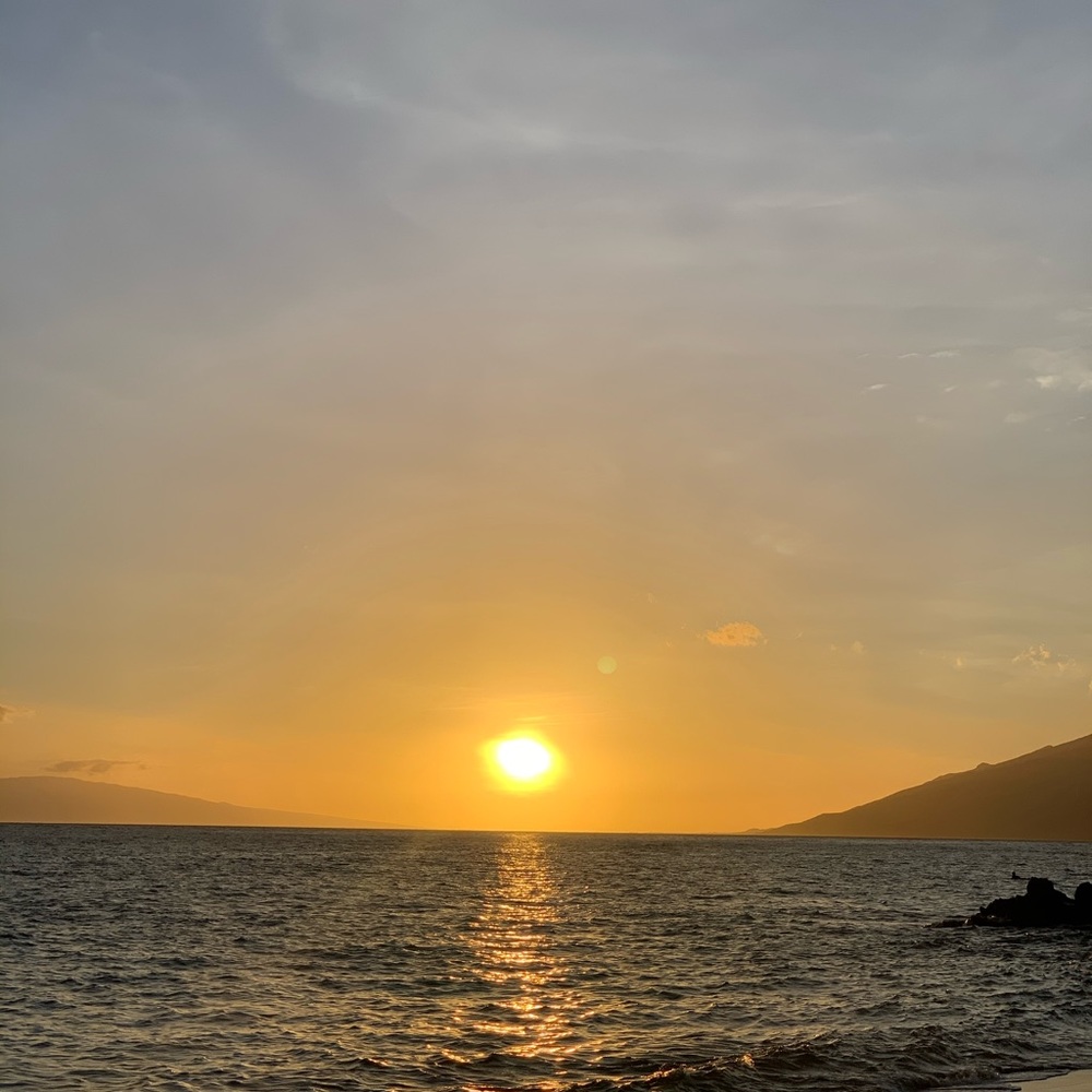 Meet your Posher, Michele